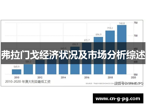 弗拉门戈经济状况及市场分析综述