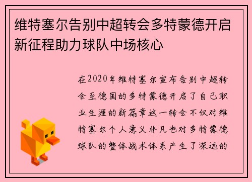 维特塞尔告别中超转会多特蒙德开启新征程助力球队中场核心